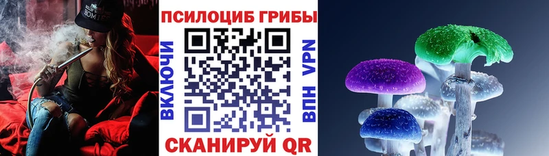 сколько стоит  Чекалин  Галлюциногенные грибы мухоморы 