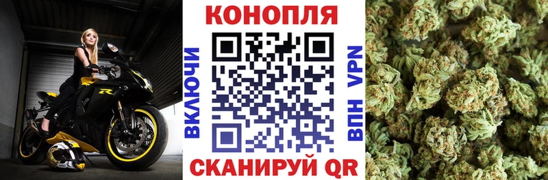 сколько стоит  Чекалин  Бошки марихуана конопля 